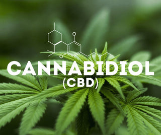 18 BENEFICIOS DEL CBD