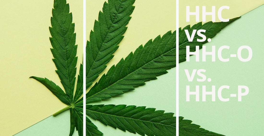 HHC vs HHC-O vs HHC-P: efectos, beneficios y diferencias