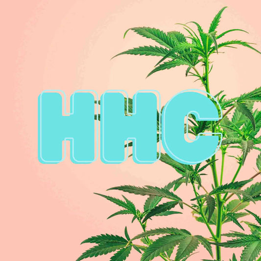 Todo lo que necesitas saber sobre el HHC y sus Beneficios