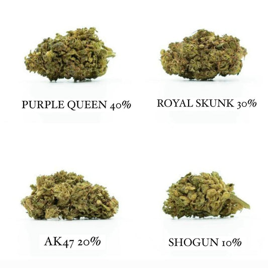 Conjunto de muestra HHC 4 flores - SHOGUN 10%, AK47 20%, ROYAL SKUNK 30%, PURPLE QUEEN 40%