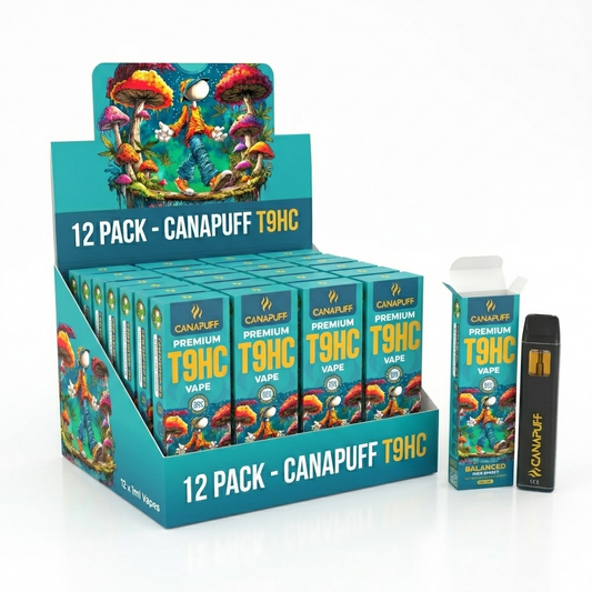 Pack 10 Vaper T9HC Balanced 95% 1ml