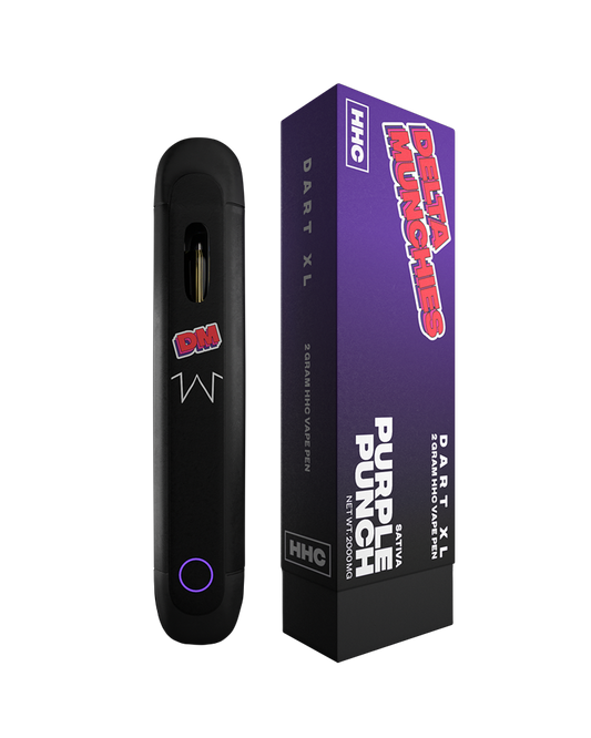 PURPLE PUNCH VAPER HHC DESECHABLE XL 2g