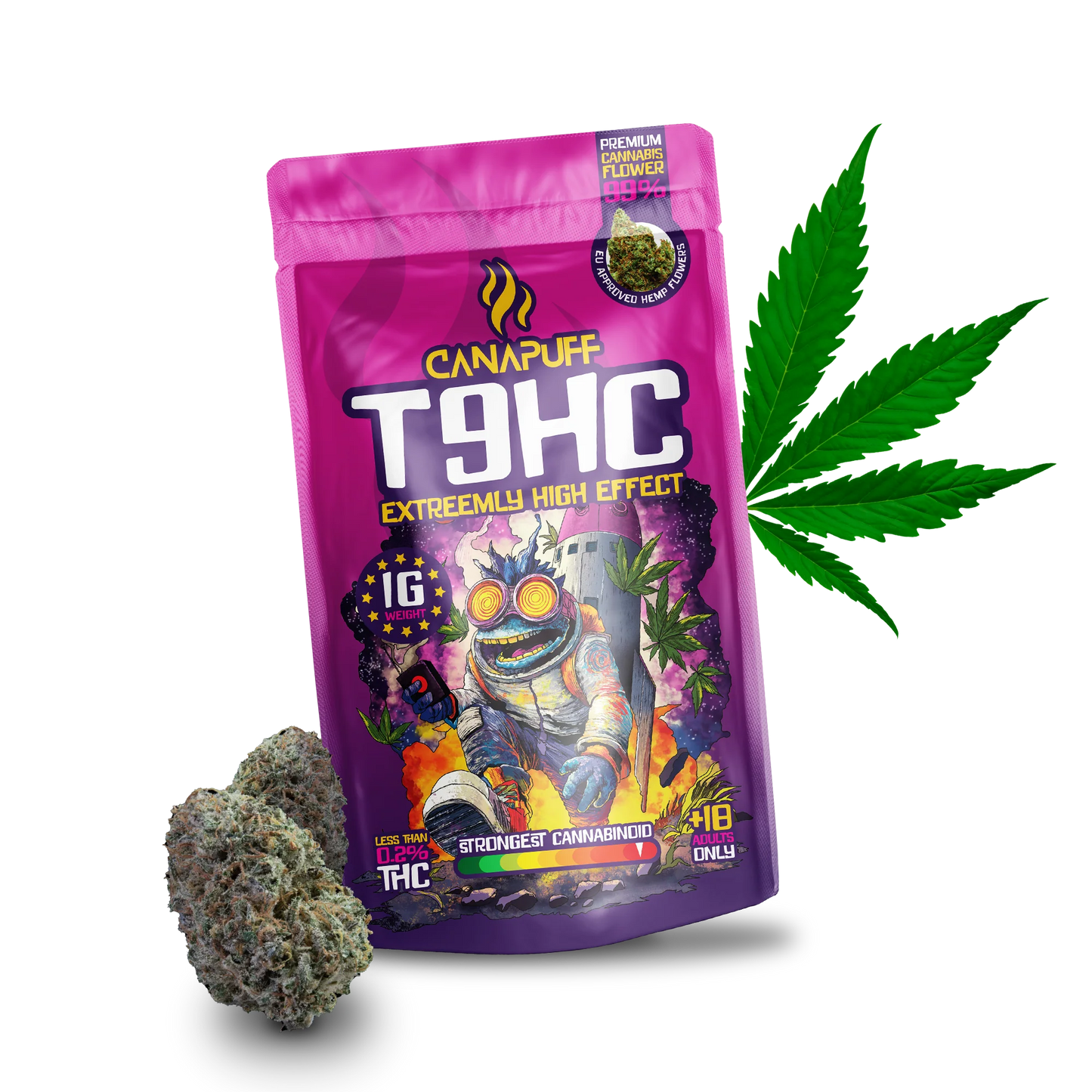 T9HC Flores Extreemly